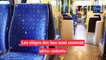 Savez-vous pourquoi les sièges des bus sont si colorés ?