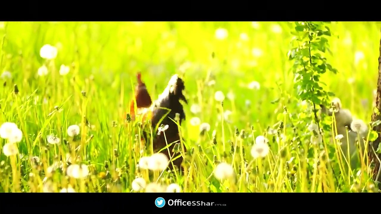 मुसीबत_में_साथ_मत_छोड़ना_|_Sonu_Sharma_|_Best_Motivational_Video_|_For_Association_:_7678481813(720p)