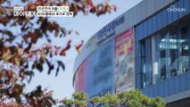 은퇴 후 25년간 화가로 살아온 ‘강리나’ TV CHOSUN 20210103 방송