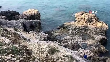 Denizde kaybolan Ali 5 gündür aranıyor