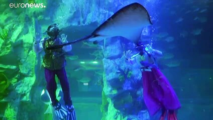 Voeux du Nouvel An sous-marins au Lotte World de Seoul
