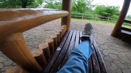 I took photos of stray cats living in Japan.33