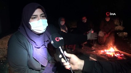 Kesilen Narenciye Ağaçları Başında Gözyaşı Döken Kadınlar, Gece Nöbetine Başladı
