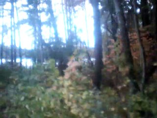 the nightingale and the rose instrumental no melody