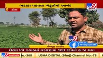 Banaskantha_ Potato farmers rejoice as Deesa witnesses dip in temperature _ TV9News _ D22_SS_19