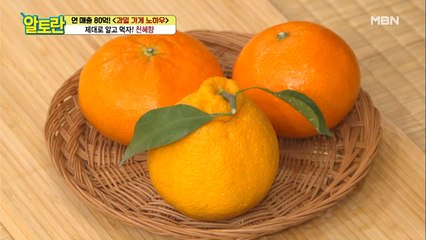 맛있는 [만감류] 크기는 상관이 없다?! 잘 고르는 법부터 제철시기까지!