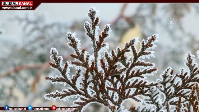 Doğu Anadolu'da dondurucu soğuklar etkisini sürdürüyor