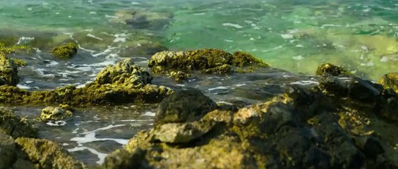 The Art of Design - Photography