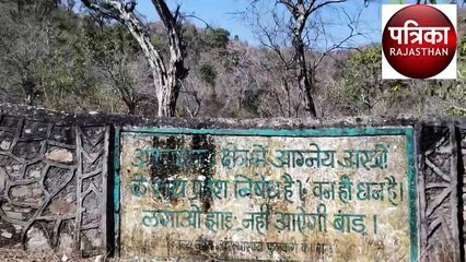 मेवाड़ के जंगलों में तस्कर, गार्ड बेबस