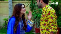 Paimanay - Episode 23 | Urdu1 Drama | Fatima Effandi, Eshal Fayyaz, Asad Siddiqui