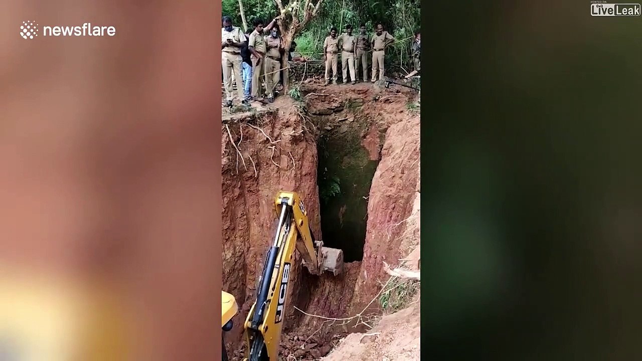 Intervention de 15h pour sauver un éléphant coincé dans un puits