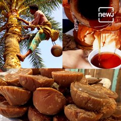 Date Palm Jaggery And The Sweetness Of Bengal Winters