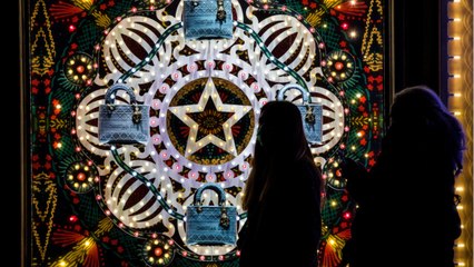 Inflatable Christmas Costume Spread Coronavirus, California Hospital
