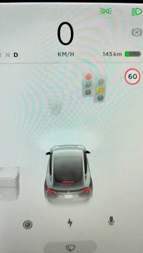 Une Tesla Model 3 confond un drapeau Coop avec un feu tricolore