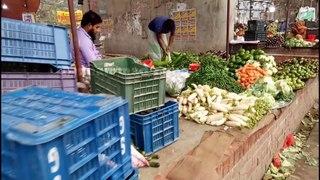 Fresh Vegetable Bazar, with different types of vegetables, you have never seen before.