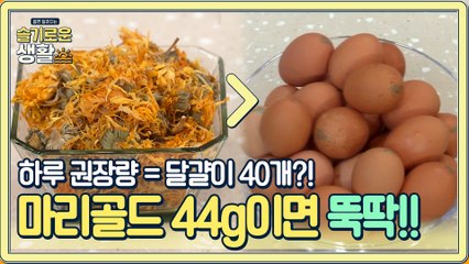 달걀 40개 대신 마리골드 44g으로 하루 권장량 채우자