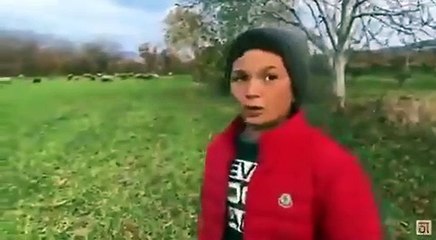 Çobanlık yapan çocuk işçinin çevre isyanı: Koyunlarım öldü