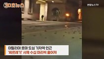 [30초뉴스] 새해 첫날 로마 길바닥에 '새 사체' 수백 마리…무슨 일이?