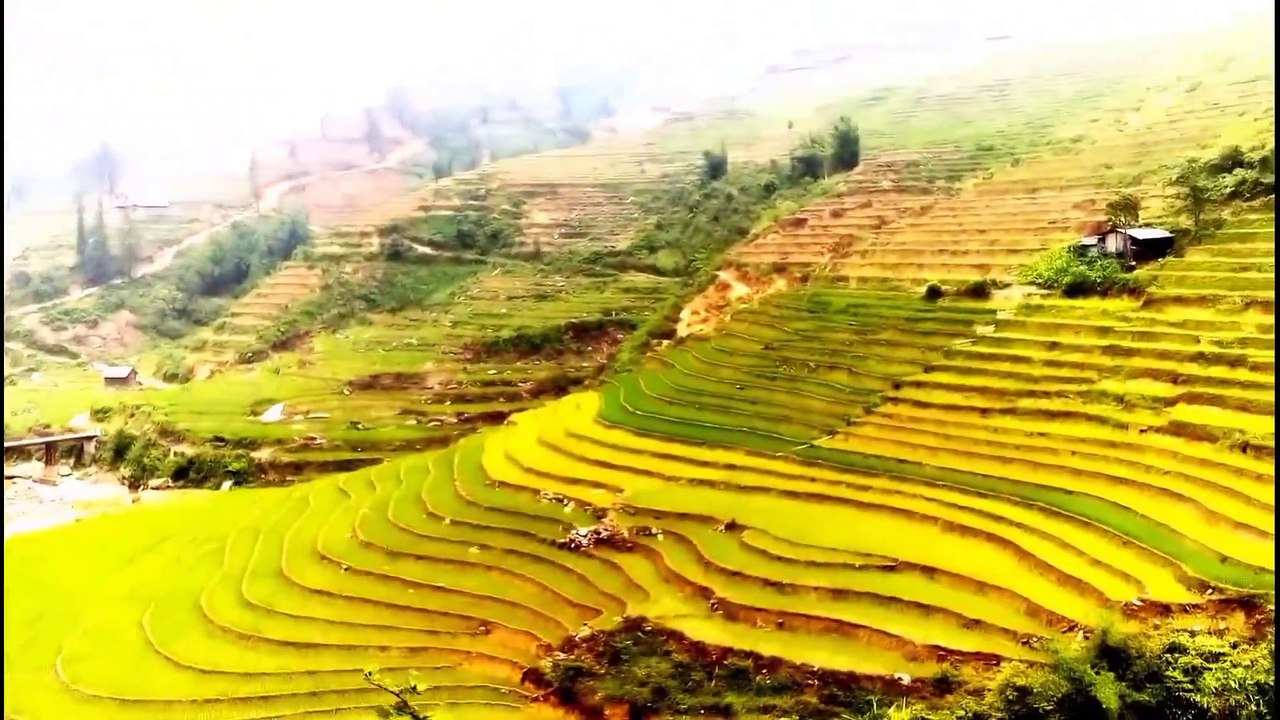 Văn hóa vùng miền Việt Nam