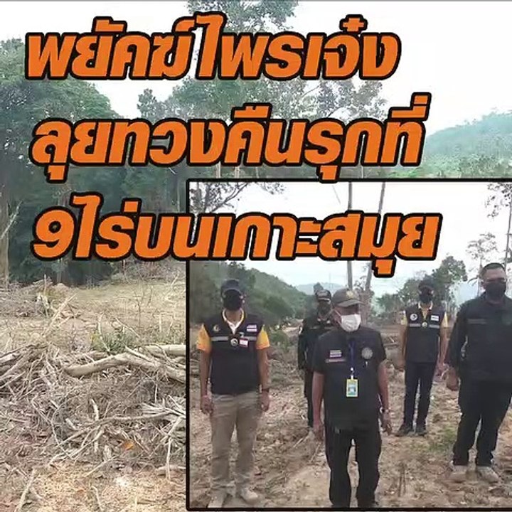 พยัคฆ์ไพรเจ๋ง ลุยทวงคืนรุกที่ เกาะสมุย 9 ไร่