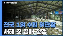 전국 1위 수협 위판장...새해 첫 경매 / YTN