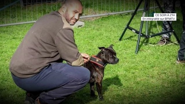 Curtis, le chien soupçonné d'avoir tué Elisa Pilarski en novembre 2019, était-il difficile à contrôler ?