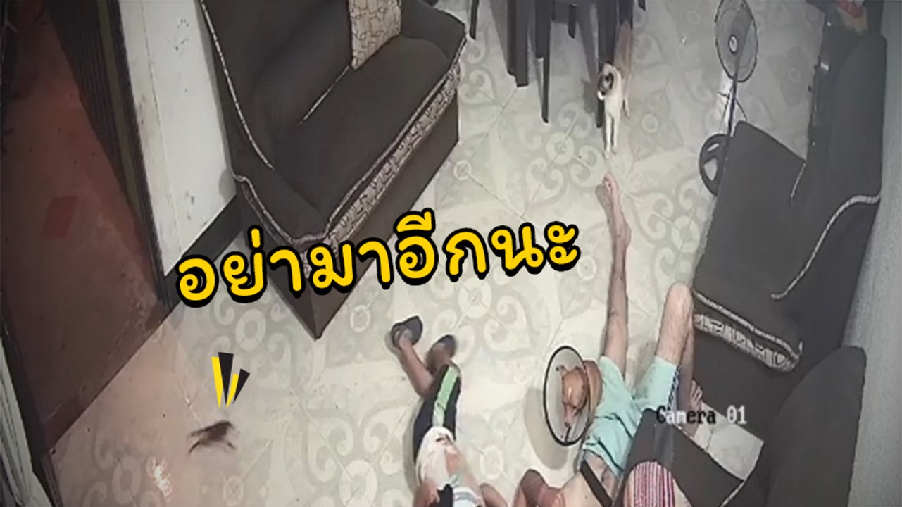 ขนลุก ! แขกมาบ้านไม่ทันตั้งตัว ตอนแรกก็เอ็นดู พอหันไปดูแทบสะพรึง
