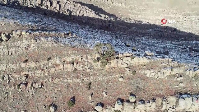 Bozkırın ortasında tek, görenlerin dikkatini çekiyor