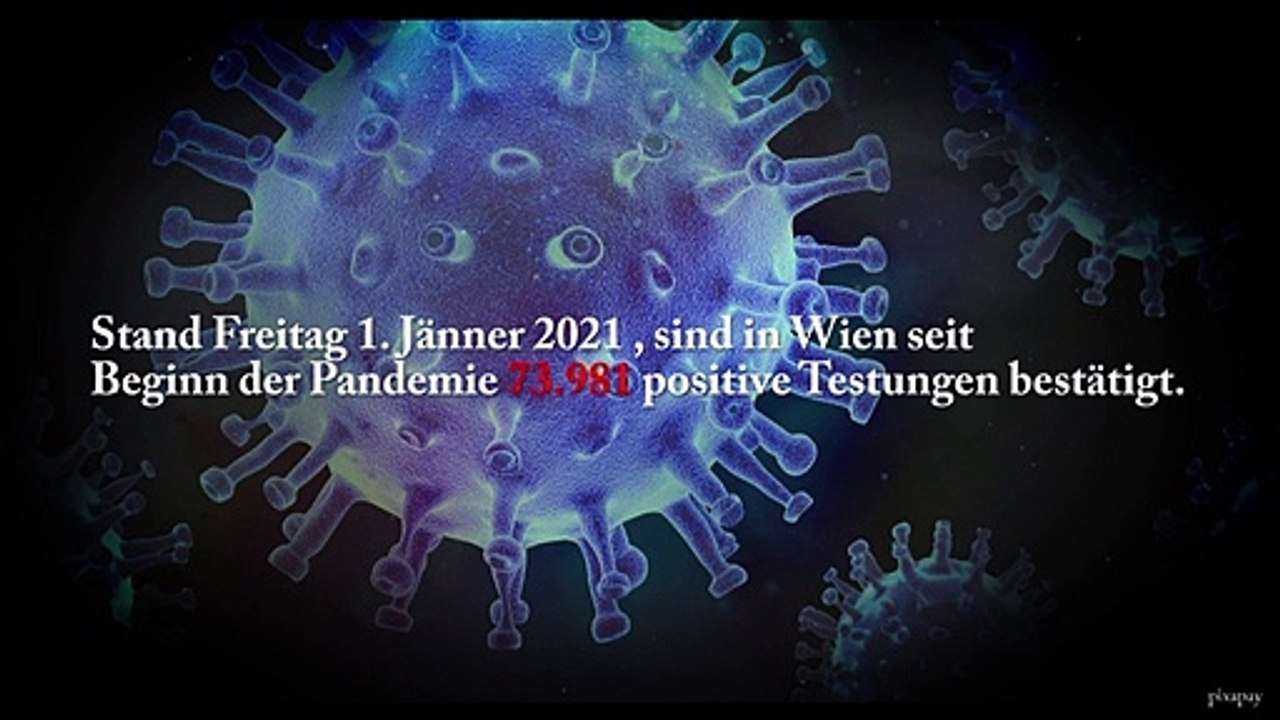 Wien:  Corona-Virus aktuelle Kennzahlen 4. Jänner 2021