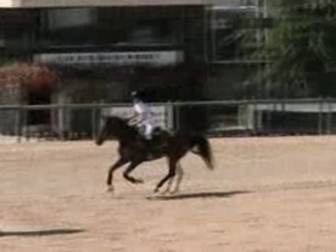 CSO : Grand Prix 1m15