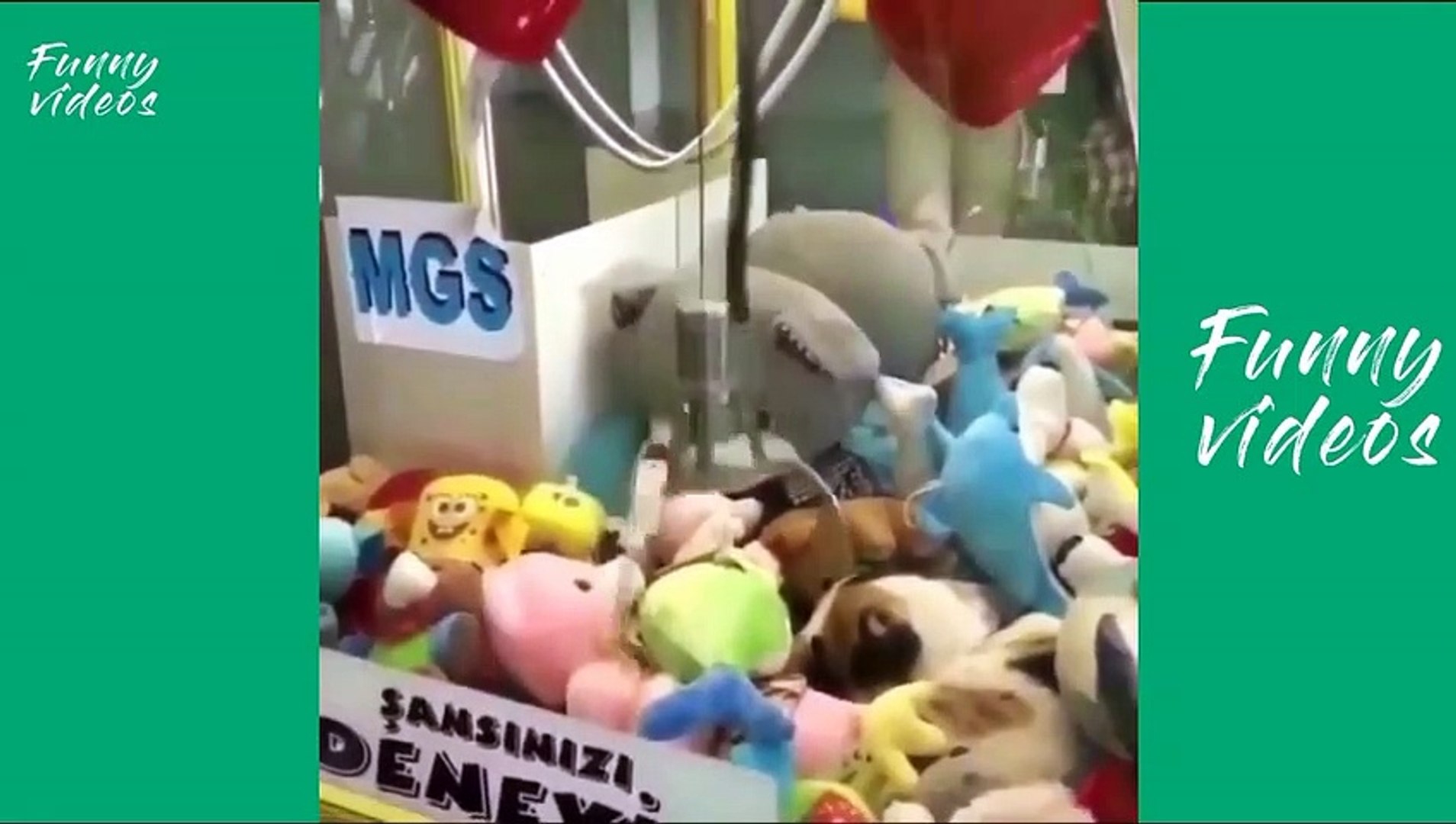 ⁣Funniest Animals  - Awesome Funny Animals' Life Videos  - Cutest Animals Ever
