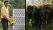 Chittoor Man Invented Device To Prevents Elephants Entering Into Crops | Oneindia Telugu