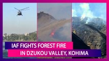 Indian Air Force Fights Forest Fire In Dzukou Valley, Kohima; Lifts Water To Douse Wildfire In Nagaland