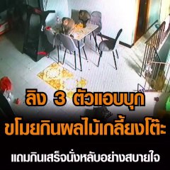 ลิง 3 ตัวแอบบุกขโมยกินผลไม้เกลี้ยงโต๊ะ แถมกินเสร็จนั่งหลับอย่างสบายใจ