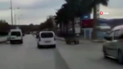 - Başıboş at trafiği birbirine kattı