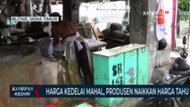 Harga Kedelai Mahal, Produsen Tahu Terpaksa Naikkan Harga Jual