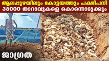 Bird flu conformed in Alappuzha and Kottayam | Oneindia Malayalam