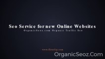 Affordable Google Organic Seo Traffic Service? Organic Seo Traffic for Google Search.