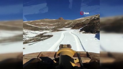 Hakkari’de kafası tenekeye sıkışan ayı kurtarıldı