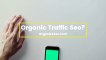 Organic Traffic Seo ‑ Affordable Seo Services