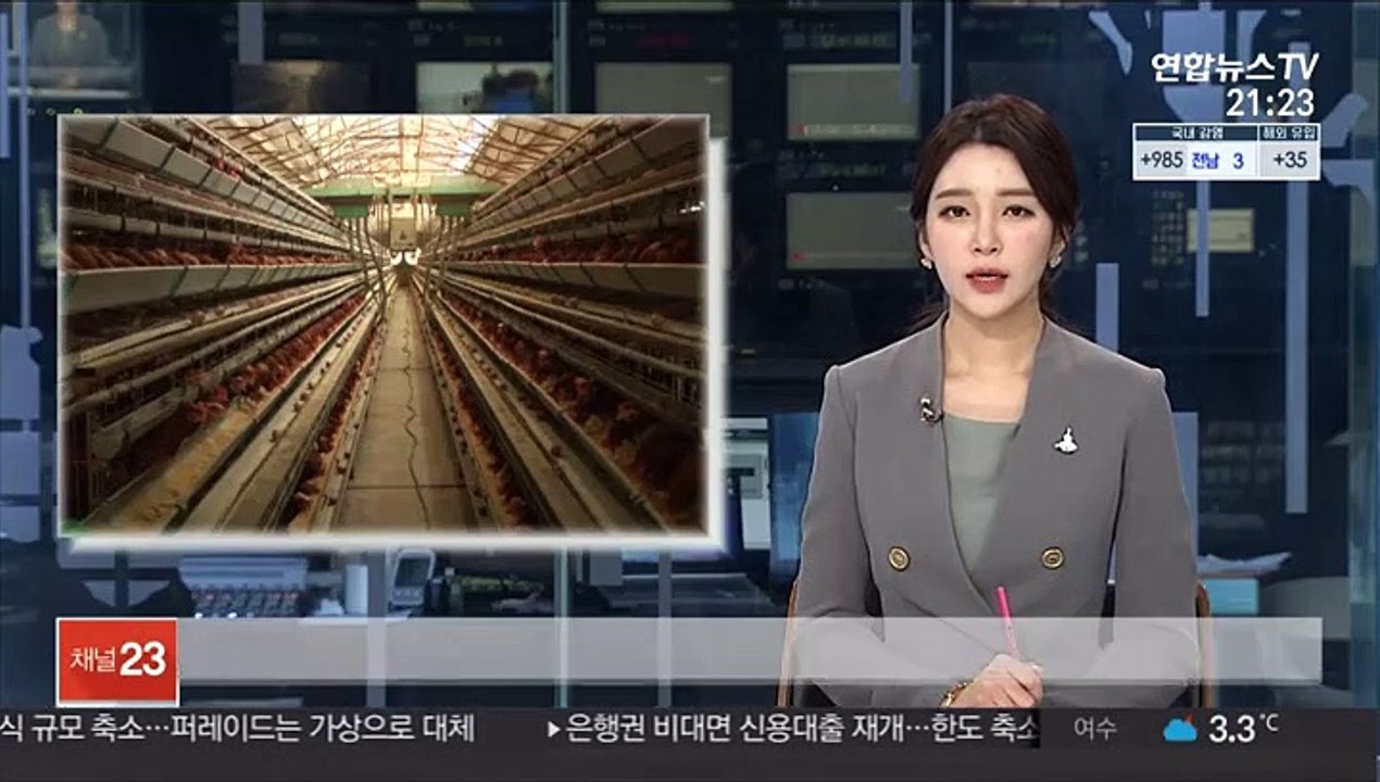 충남 천안서 고병원성 AI 확진…국내 농장 43번째