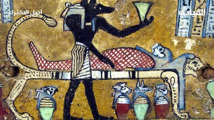 اصل الاختراع-عمليات التجميل