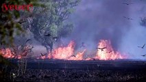 Australian Truck Driver Films Wildfires Closing in Around Him Before Evacuation