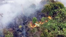 حرائق الغابات في البرازيل بلغت في 2020 أعلى مستوياتها منذ عشر سنوات