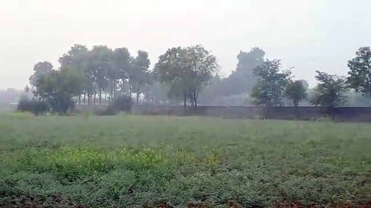 Weather news : करौली के नादौती में ढाई इंच बरसा...