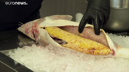 الكافيار الأبيض..كنز جبال الألب النمساوية الثمين