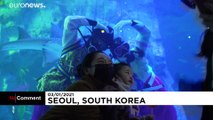 شاهد: عروض فنية لغواصين رفقة الأسماك احتفالا بالسنة الجديدة في كوريا الجنوبية