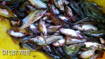 Amazing Fish Market in rural areas..  25 types of fishes  are found in this market .