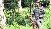 Toter Teenager im malaysischen Dschungel, Behörden schließen Verbrechen aus