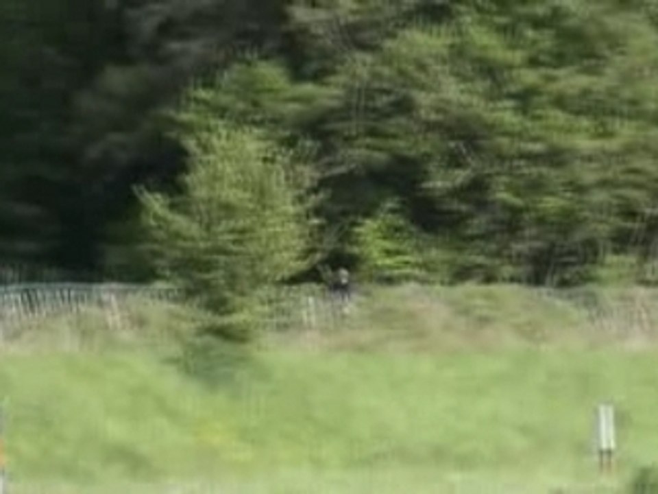 Galop 7 cross